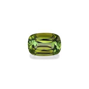 fine quality gemstones - TG1661