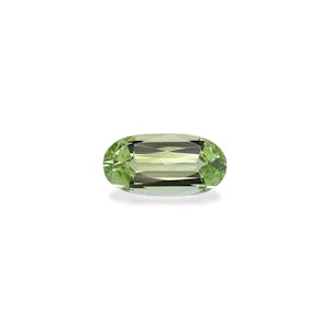 fine quality gemstones - TG1662