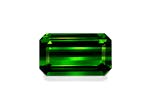 Vivid Green Tourmaline 4.83ct (TG1693)