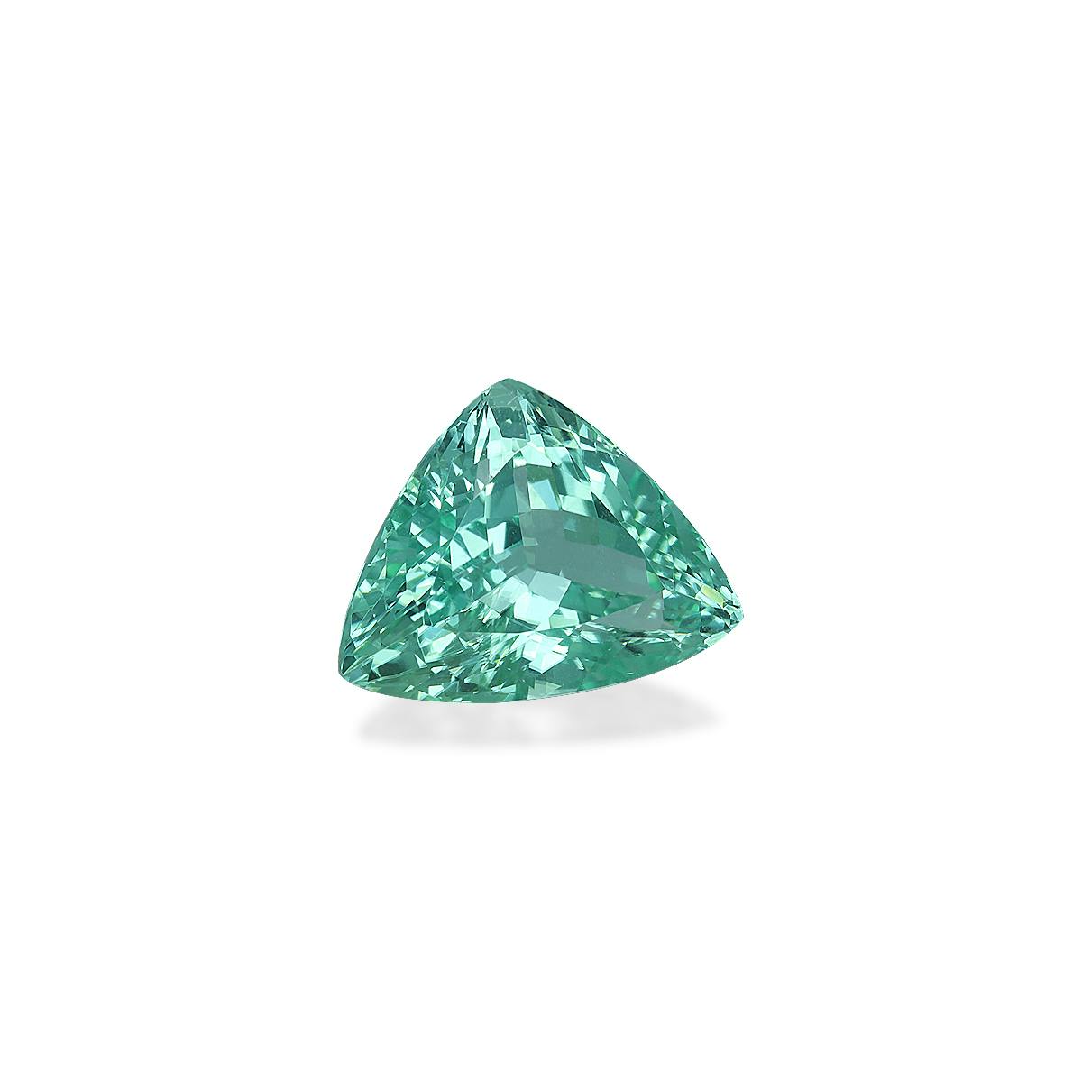 Green Tourmaline 9.00ct (TG1722)