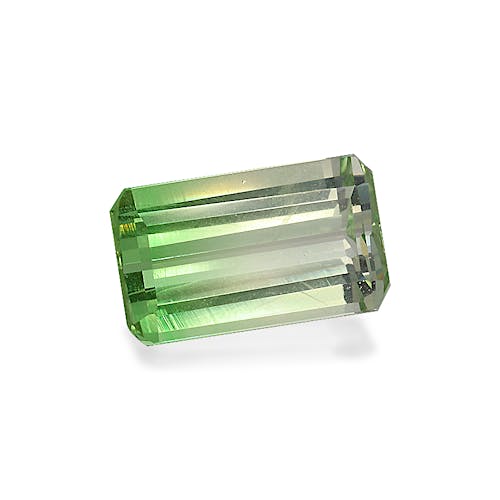 Product image-1 Product image-1