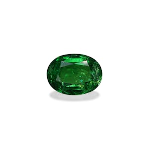 Green Garnet - What & Why is this green gem so popular
