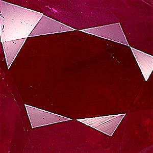 product close up Product closeup