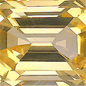 product close up Product closeup