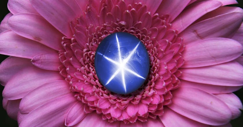 star sapphire - bluestar sapphire banner