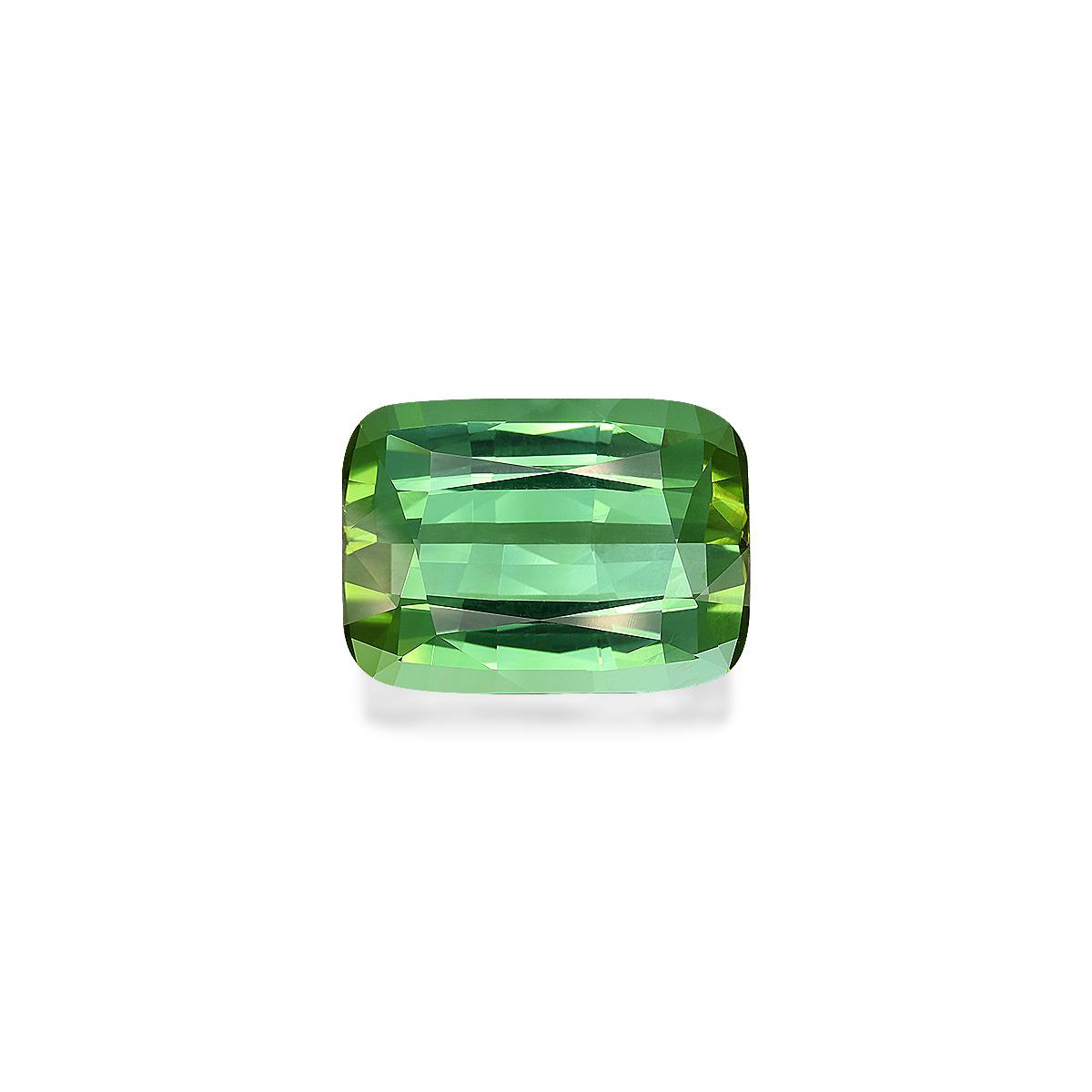 Green Tourmaline 29.69ct (TG0445)