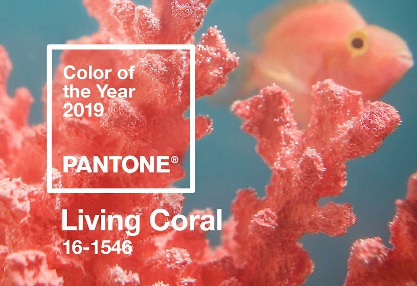 Red carpet gemstones - pantone color of the year 2019 living coral