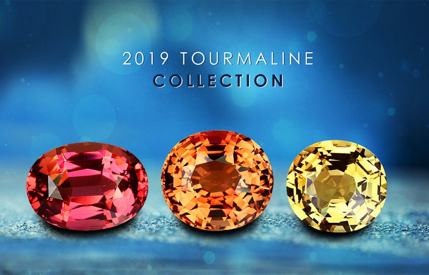 2019 Tucson gem show - tour facebook